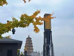 -大雁塔北广场音乐喷泉