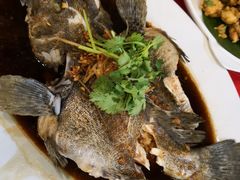 -大树下海鲜饭店