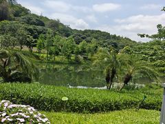 -云溪植物园