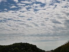 -大湾区中央湿地公园