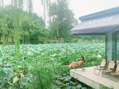 -Beans Solo豆号咖啡(百家湖花园店)