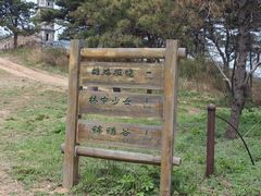 -鲁山国家森林公园