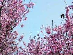 -福建鲤鱼洲酒店