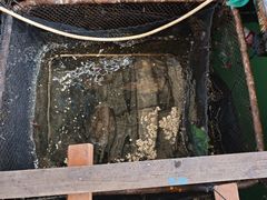 -蓝湾碧波·老字号·疍家非遗海上餐厅