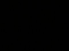 -桂发祥·直营(本溪路店)