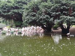 -九龙公园