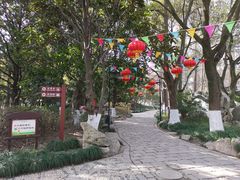 -瀛洲公园