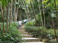 -深圳仙湖植物园