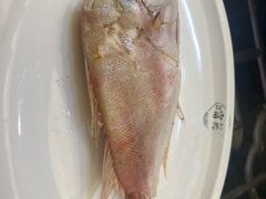 -吴记富苑(朝阳店)