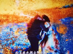 -武汉华夏国际影城(鲁广店)