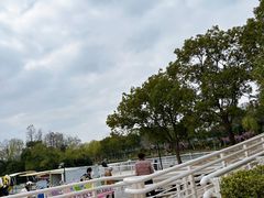-新江湾城公园