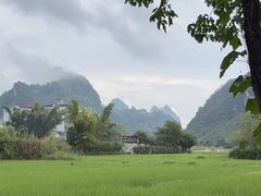 -靖西鹅泉风景区