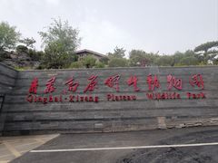 -青藏高原野生动物园