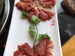 特色鲜毛肚-一斗火锅·招财羊毛肚(北温泉九号店)