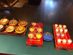 -松赞拉萨林卡酒店