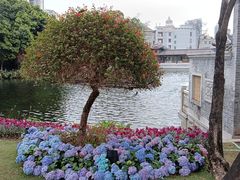 -荔湾湖公园
