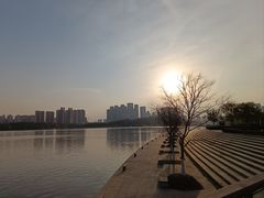 -月湖风景区