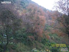 -广州市石门国家森林公园