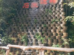 -千年银杏谷文化旅游区