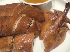 -金狮麟·新豫菜(杏石口路店)