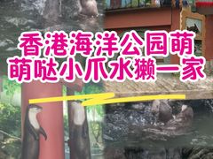 -香港海洋公园