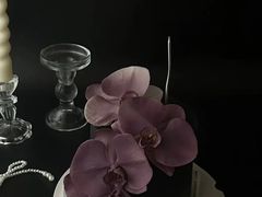 -Dark Horse·黑马蛋糕·低脂·低糖淡奶(金匙望湖大厦店)