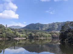 -深圳仙湖植物园