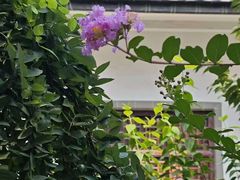 -不倒翁·徽天下名菜楼(马鞍山路店)