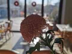 -The Rug Cafe(王府中环店)