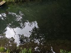 -雁荡山三折瀑景区