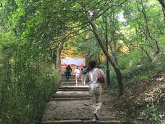 -雨花胜境