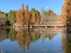-滇池海埂公园