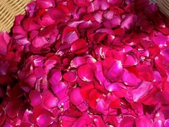 -嘉华鲜花饼·现烤(昆明老街店)