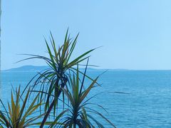 -悦海公园