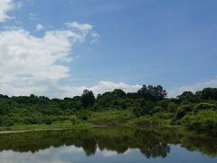 -福建鲤鱼洲酒店