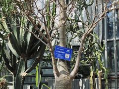 -南山植物园
