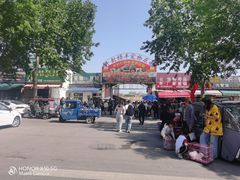 -开封杨丰宠物乐园