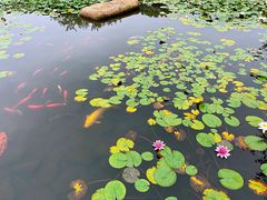 -白马涧龙池景区