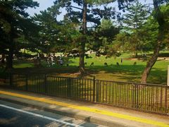 -奈良公园