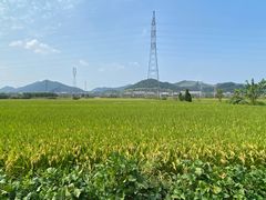 -李东农庄(中南百草园地标店)