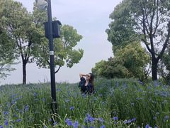 -春花秋色城市公园