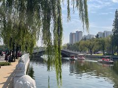 -莱西月湖公园