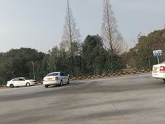 -光明驾校·学车·陪驾(川沙店)