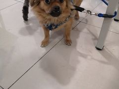 -万达广场(扬州邗江店)