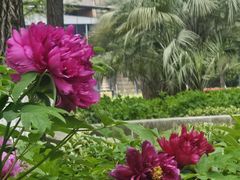 -苏州河梦清园环保主题公园