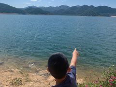 -望湖烤鱼