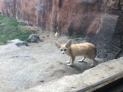 -杭州野生动物世界