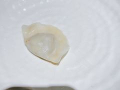 -一轩饺子馆(丽都店)
