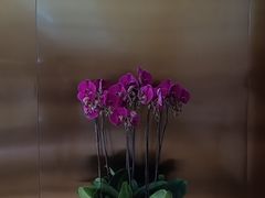 -广州花园酒店
