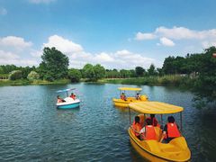 -太阳岛度假酒店